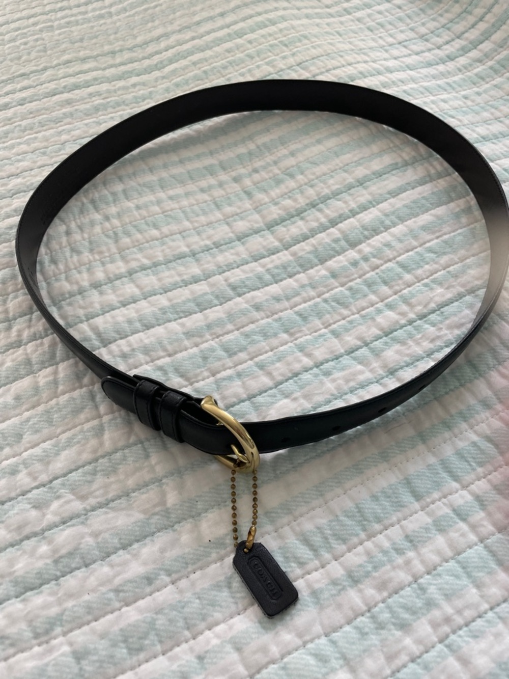 Coach Black Leather Belt with Gold-Tone Buckle and Logo Tag